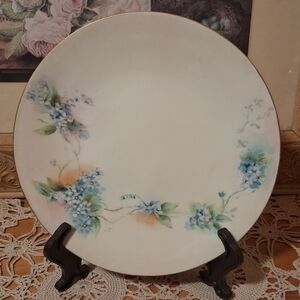 Vintage Limoge Plate